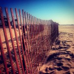 L.A. fences